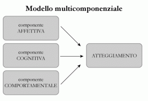 Modello-multicomponenziale